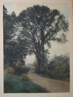 Appraisal: Wallace Nutting A Vermont Road Wallace Nutting Hand Colored Photo