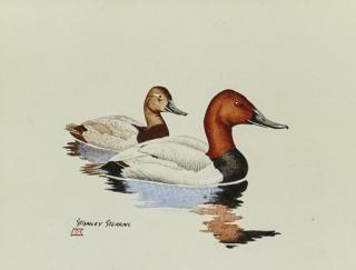 Appraisal: Stanley Stearns b Canvasbacks Stanley Stearns b Canvasbackssigned Stanley Stearns