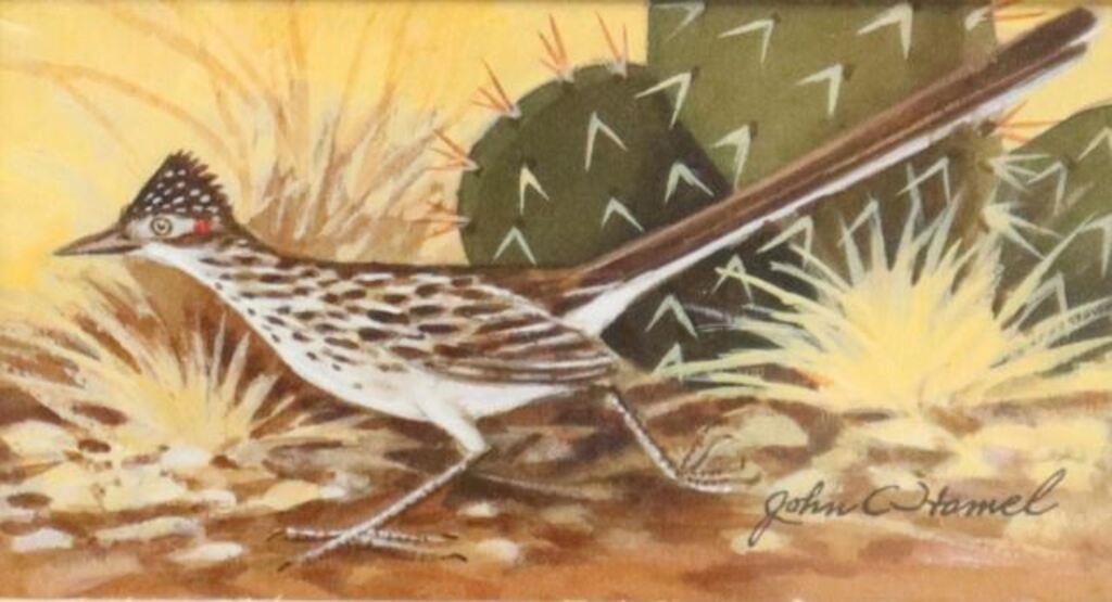 Appraisal: Framed gouache painting on paper Roadrunner signed lower right John