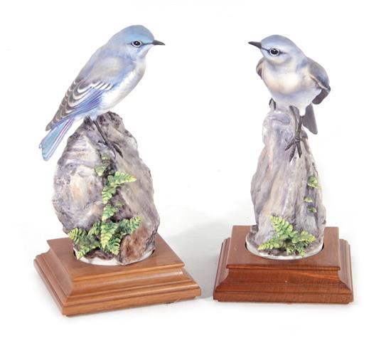 Appraisal: Pair Dorothy Doughty Mountain Bluebird Royal Worcester dated with spleenwort