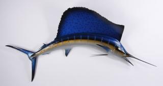 Appraisal: Pacific sailfish mount Pacific sailfish mount overall size h x