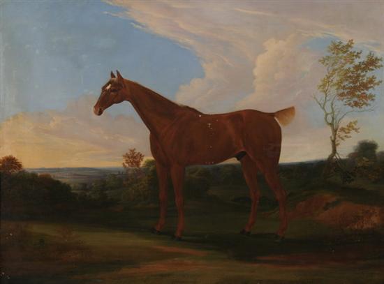 Appraisal: ENGLISH SCHOOL late th century CHESTNUT STALLION IN LANDSCAPE oil