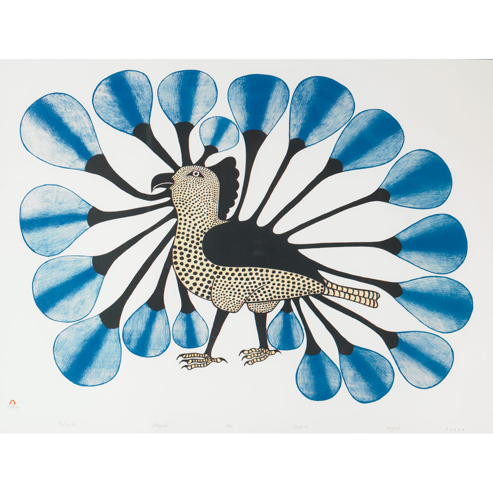 Appraisal: KENOJUAK ASHEVAK - E - Cape Dorset OWL IN BLUE