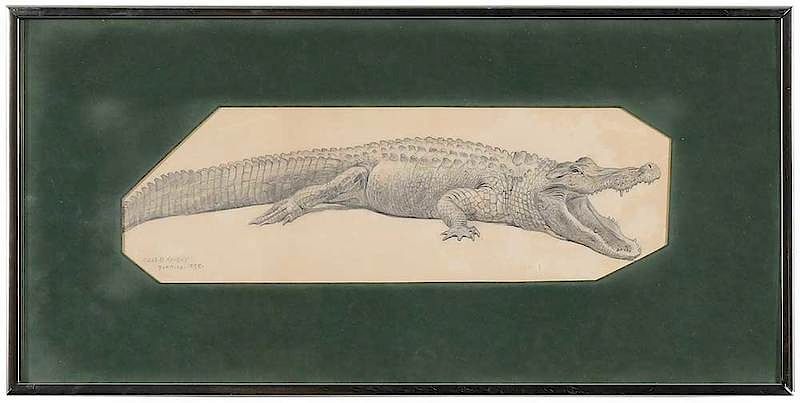 Appraisal: Charles R Knight New York - Alligator signed and inscribed