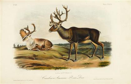 Appraisal: vols Audubon John James Bachman John The Quadrupeds of North