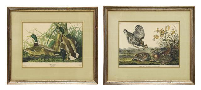 Appraisal: lot of Framed offset prints on paper after John James