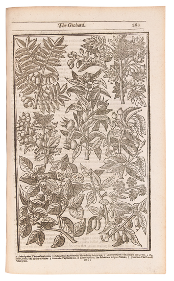 Appraisal: BOTANICAL Parkinson John Paradisi in Sole Paradisus Terrestris Wood-engraved title