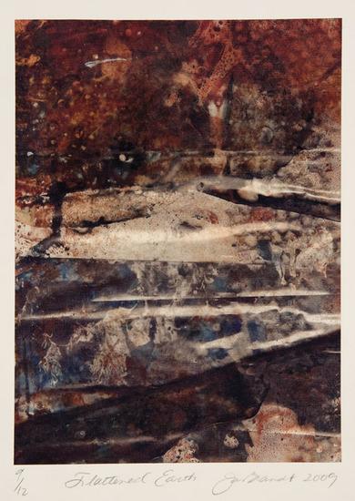 Appraisal: Jav BrandtFlattened Earth Paper lithograph printed in colors signed titled