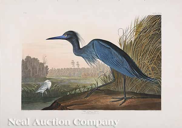 Appraisal: After John James Audubon American - Blue Crane or Heron