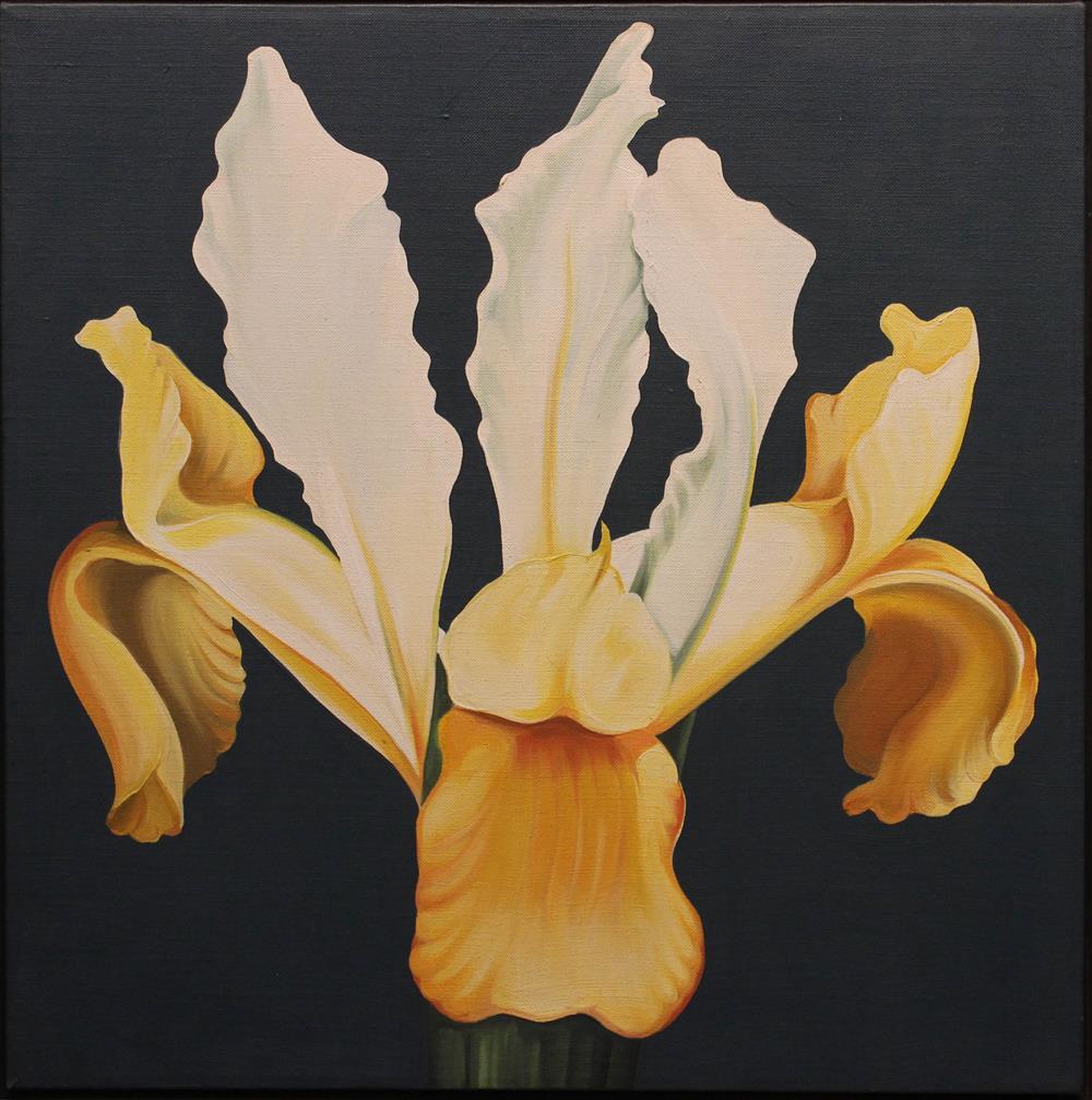 Appraisal: LOWELL NESBITT AMERICAN - WHITE-YELLOW IRIS ' Oil on canvas