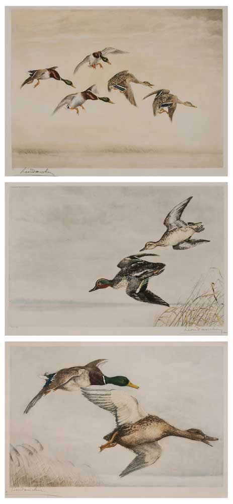 Appraisal: L on Danchin French - Three Views of Ducks all