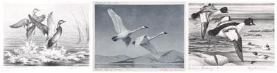 Appraisal: Three Federal duck stamp prints - quot American Goldeneyes quot