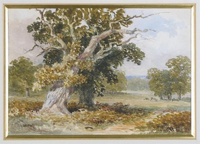 Appraisal: Charles Horwell Woodman - Richmond Park Signed Watercolour x cm