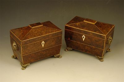 Appraisal: A pair of Regency burr yew veneered sarcophagus shape tea