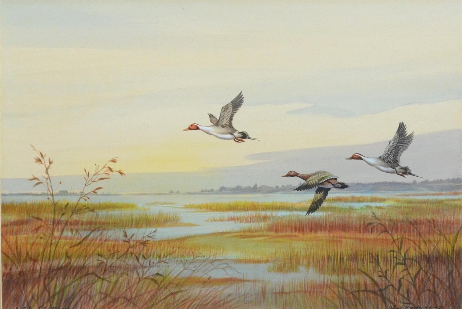 Appraisal: John E Bradley American NJ th Century watercolor Pintails--Late Afternoon