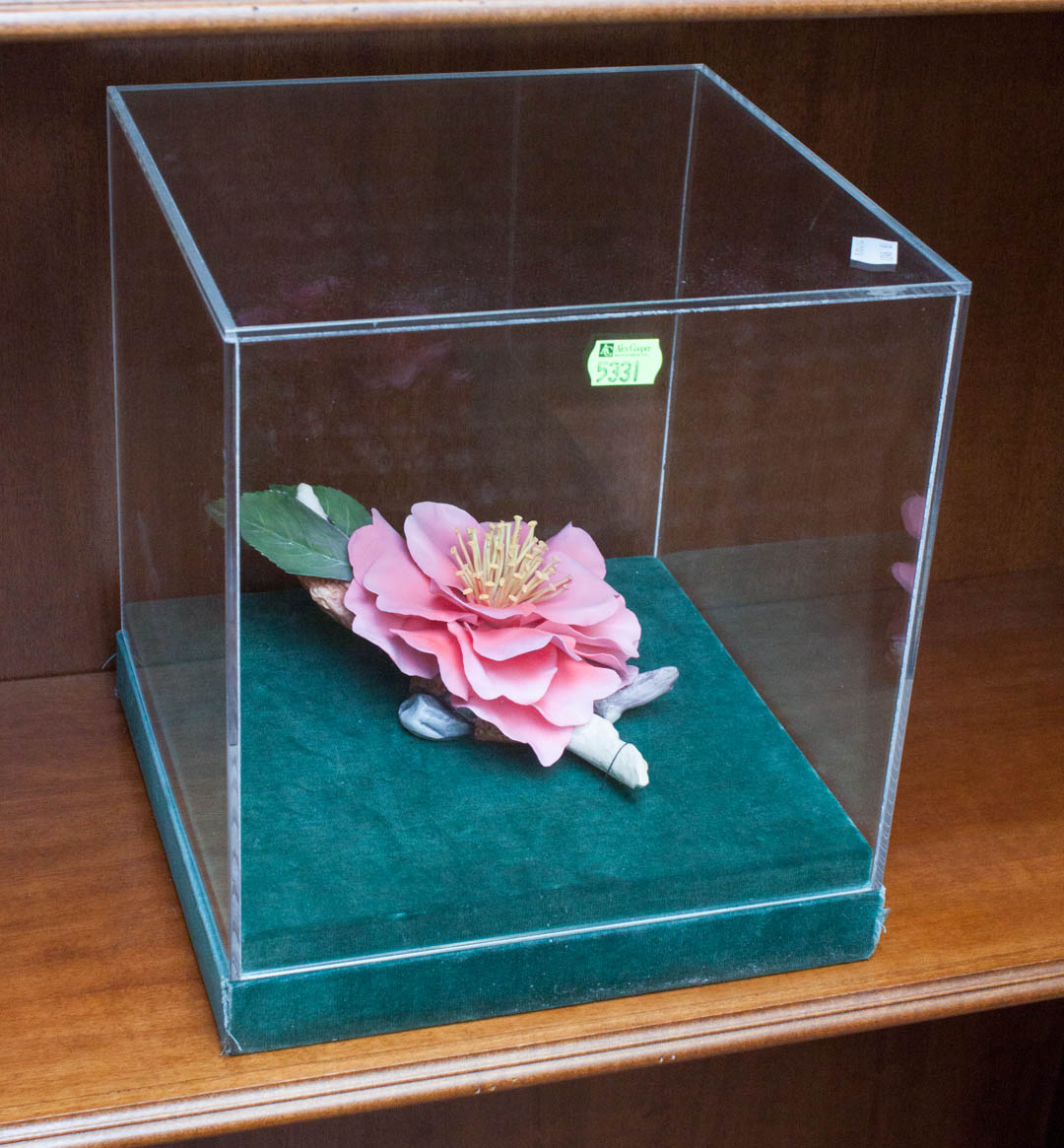 Appraisal: Boehm bisque magnolia flower in lucite case