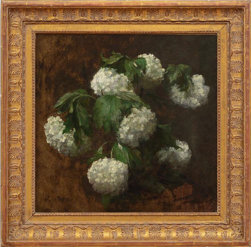 Appraisal: VICTORIA DUBOURG FANTIN-LATOUR - WHITE HYDRANGEAS Oil on canvas signed