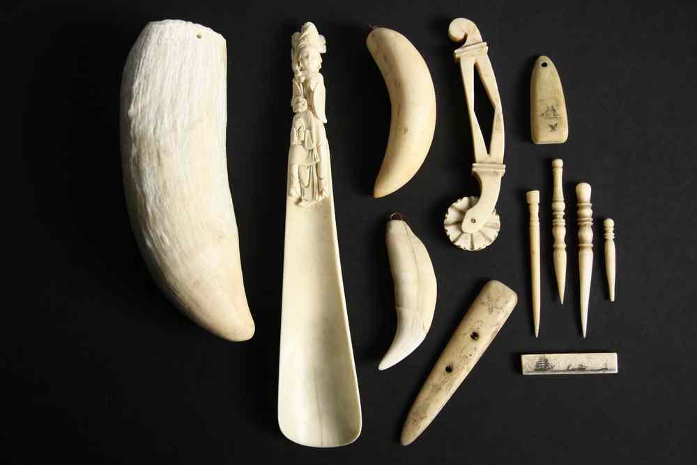 Appraisal: NAUTICAL LOT - Collection of nautical objects large whale tooth