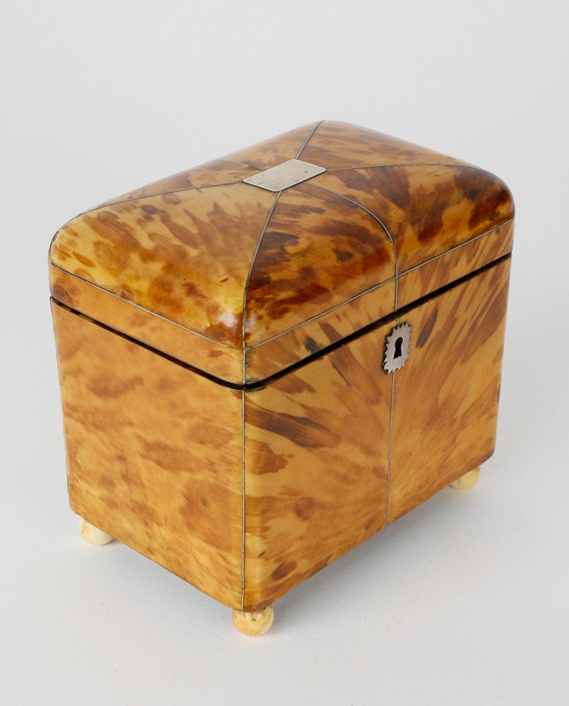 Appraisal: English Regency Tortoiseshell Double Compartment Tea Caddy Early th c