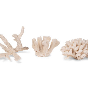 Appraisal: A Collection of Three White Coral Specimens Width of largest