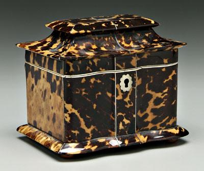 Appraisal: Tortoise tea caddy serpentine front tortoise panels with white wire