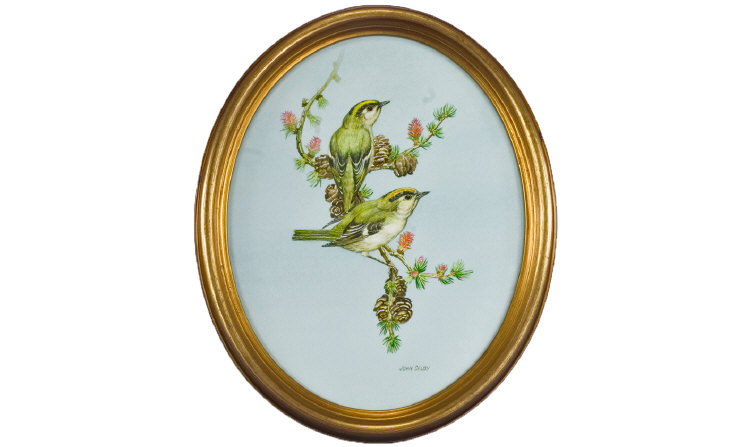 Appraisal: John Selby Watercolour Two Greenfinch On A Branch inches by