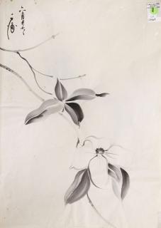 Appraisal: Work on Paper Chiura Obata Chiura Obata American Japanese -