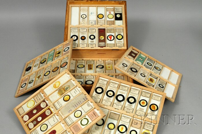 Appraisal: Box of Microscope Slides th and th centuries mostly labeled