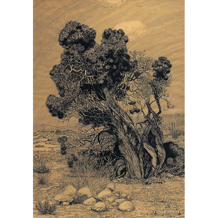 Appraisal: Carl Schmidt American - Desert Scene c ink on paper