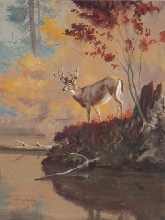 Appraisal: Autumn Buck signed Walter A Weber lower left watercolor and