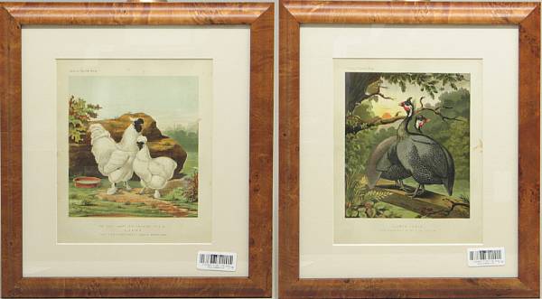 Appraisal: A set of eight English framed colored prints from 'Cassell's