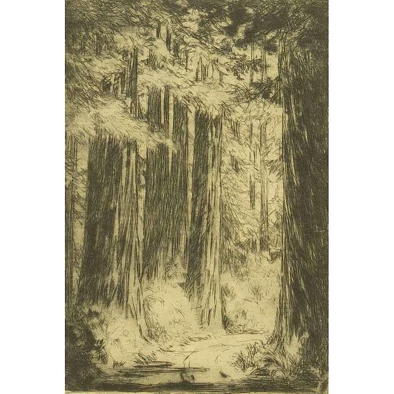 Appraisal: Evangeline Benbow Etching Framed etching Redwoods Evangeline Benbow - signed