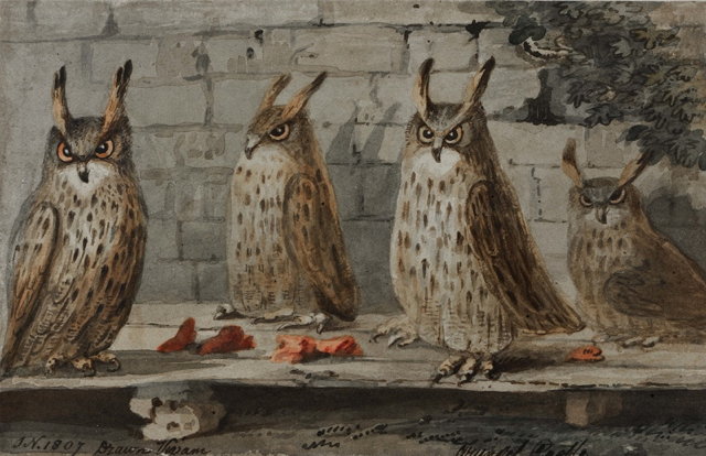 Appraisal: JOHN NIXON c - Eagle owls at Arundel Castle signed