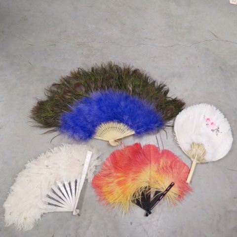 Appraisal: Feather Fans includes peacock