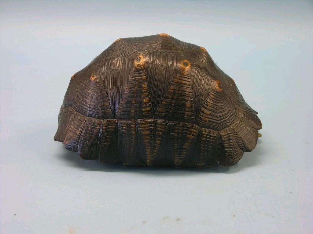 Appraisal: A tortoise-shell