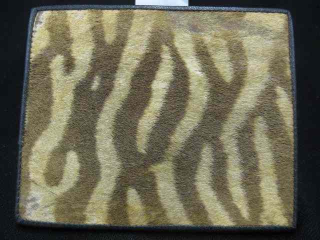 Appraisal: Zebra Skin Dresser Box '' x '' excellent