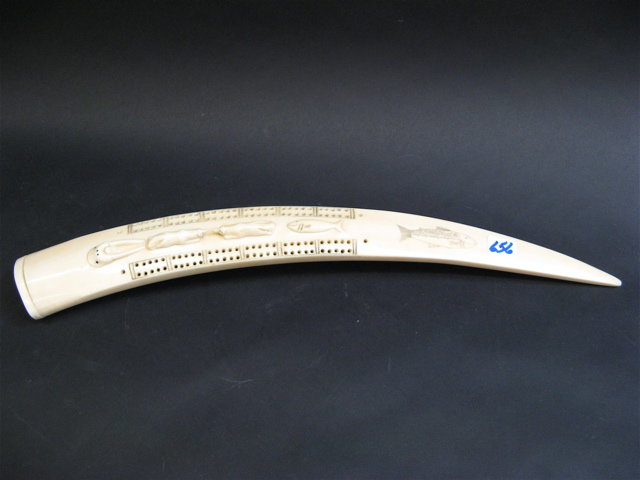 Appraisal: IVORY CARVED WALRUS TUSK drilled to form a cribbage game