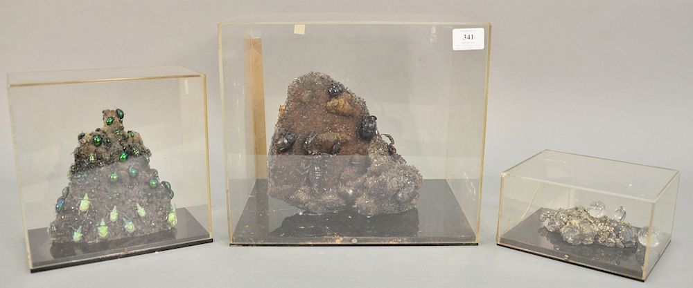 Appraisal: Three mineral rock displays to include large scarab beetle and