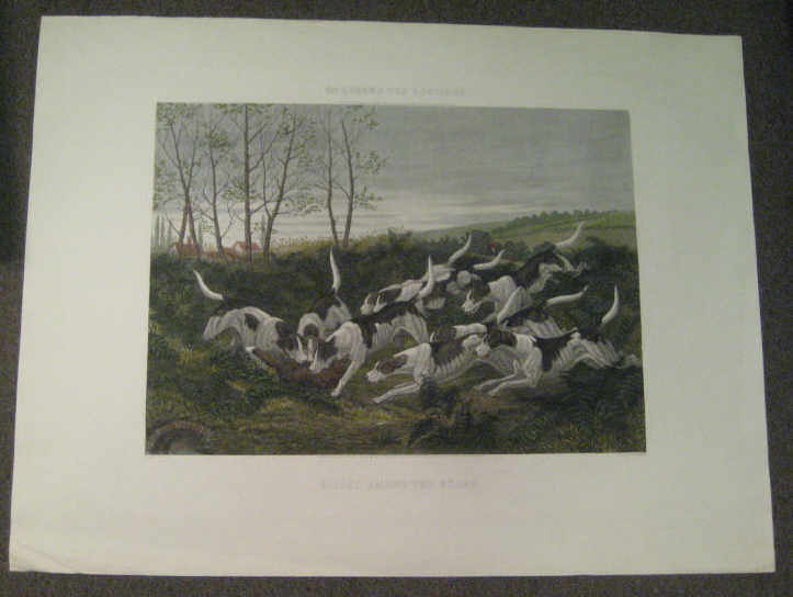 Appraisal: E G HESTER MCQUEEN'S FOX HUNTING - KILLED AMONG THE