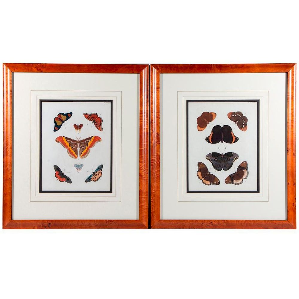 Appraisal: A pair of th century prints of butterflies Frames inches