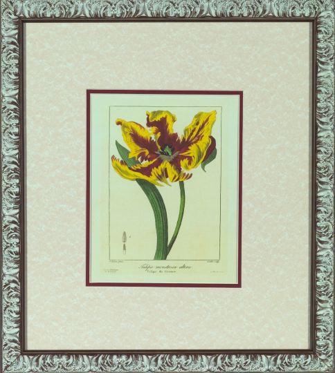 Appraisal: After Pancrace Bessa French - Tulips suite of four chromolithographs