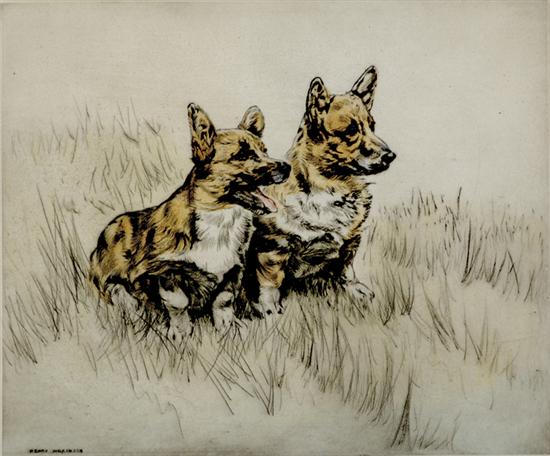 Appraisal: Henry Wilkinson British th century CORGIScolored etching framed signed numbered