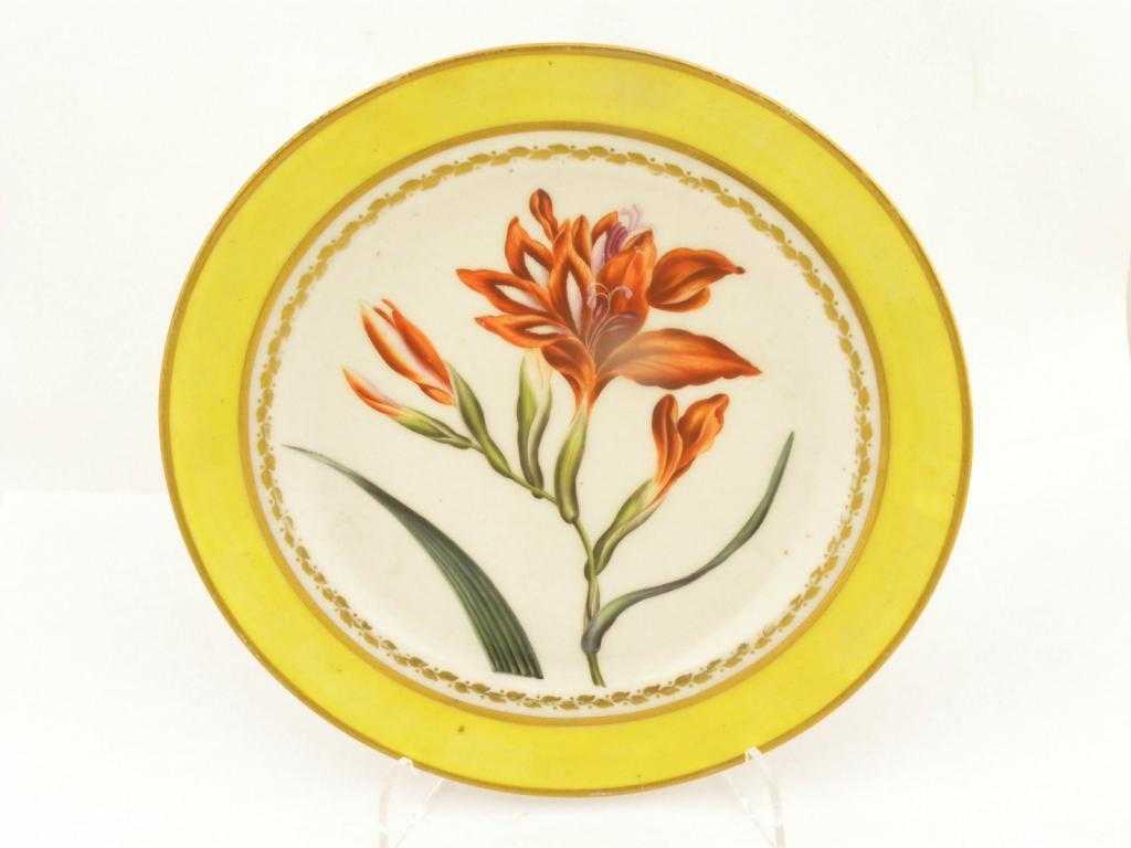 Appraisal: A DERBY BOTANICAL PLATE painted with a specimen of the