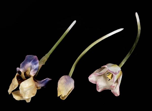 Appraisal: A group of porcelain flowers approximate length in