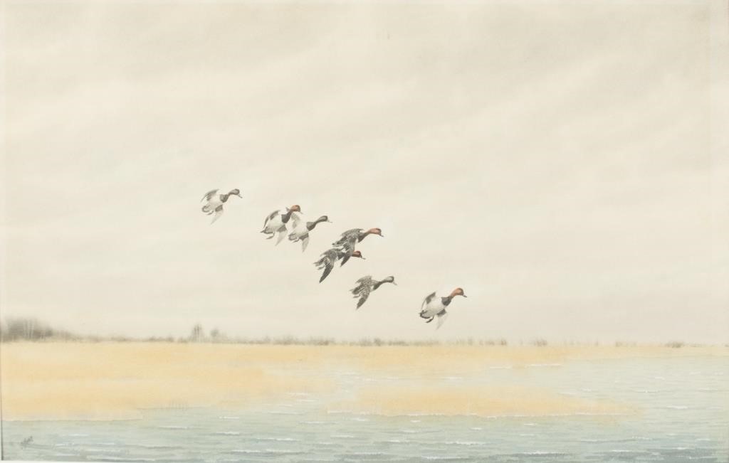 Appraisal: Maryland Marshes Redheads signed J D Knap lower left watercolor