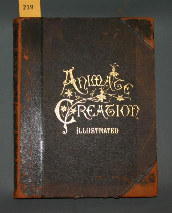 Appraisal: Color Plates J G Wood Animate Creation Popular Edition of