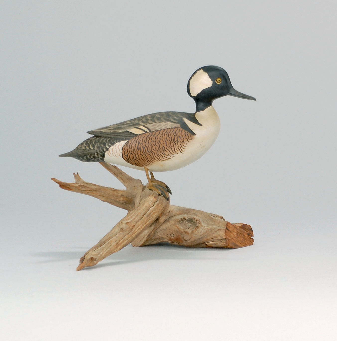 Appraisal: EXCEPTIONAL MINIATURE HOODED MERGANSER DRAKE Circa By James Lapham of