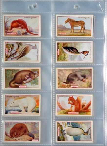 Appraisal: Lot of Animal Related Tobacco Card Sets Description This lot