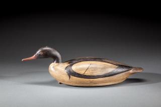 Appraisal: Common Merganser by Mark S McNair b Mark S McNair