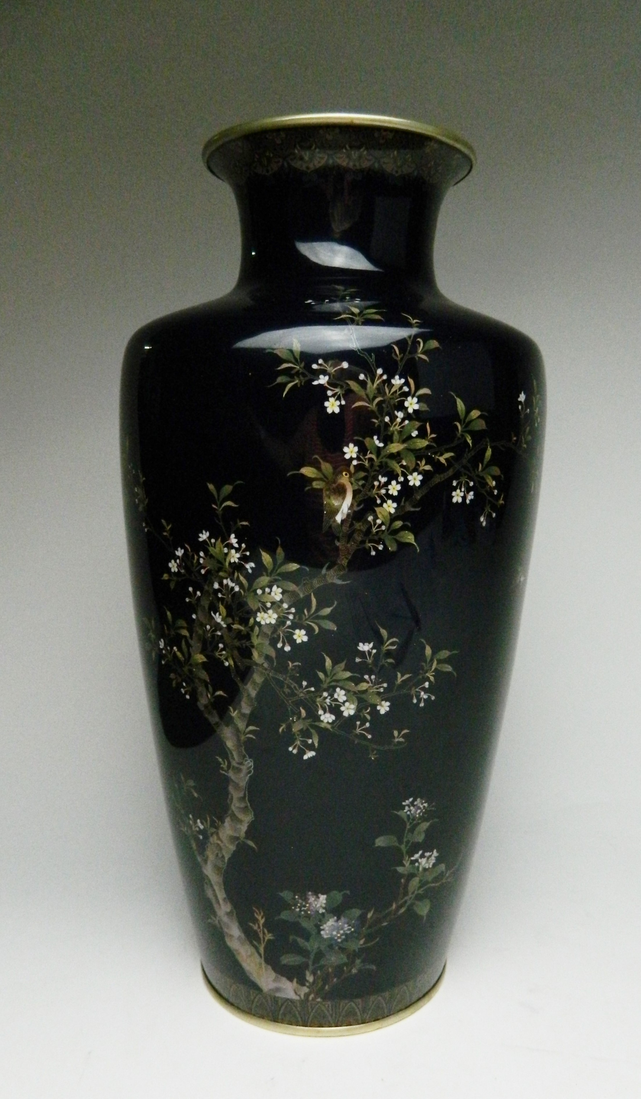 Appraisal: Japanese cloisonne vase- prunus tree design on cobalt ground attributed